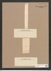 Synedra ulna (Nitzsch) Ehr. (de-Toni-Nr.: Genus 66, Species 2584) Zeichnungen Sammlung Grunow Nr. 5194 (NHMW-BOT-W0373554)